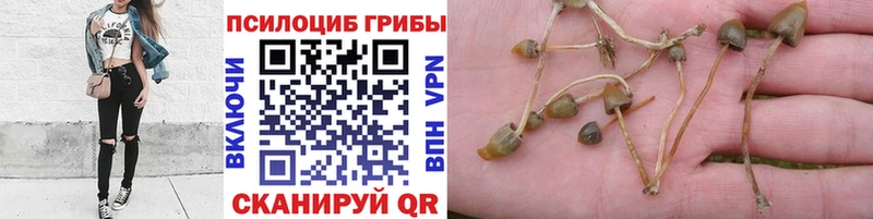 Галлюциногенные грибы ЛСД  мега маркетплейс  Ростов-на-Дону 