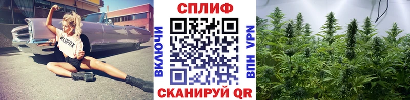 Бошки Шишки планчик  где найти   Ростов-на-Дону 